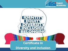 Load image into Gallery viewer, Certificate in Diversity and Inclusion